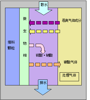 生物除臭原理